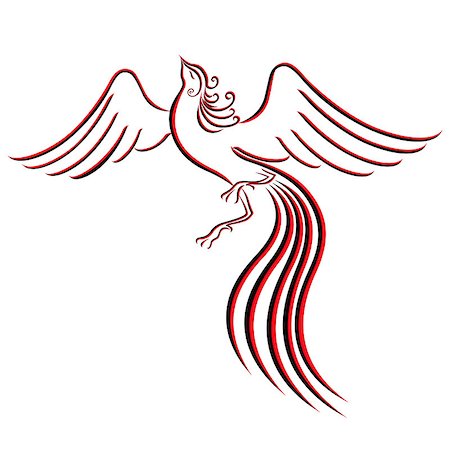 firebird - Black and red graceful Firebird contour isolated over white. Hand drawing vector illustration Stock Photo - Budget Royalty-Free & Subscription, Code: 400-07464708