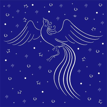 firebird - Graceful firebird white contour on blue background with many stars. Hand drawing vector illustration Stock Photo - Budget Royalty-Free & Subscription, Code: 400-07464709
