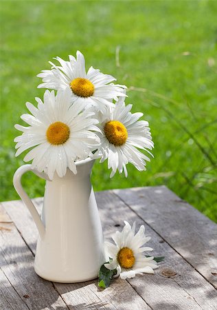 simsearch:400-07179442,k - Fresh garden chamomile bouquet in vase on wooden table Stock Photo - Budget Royalty-Free & Subscription, Code: 400-07465320