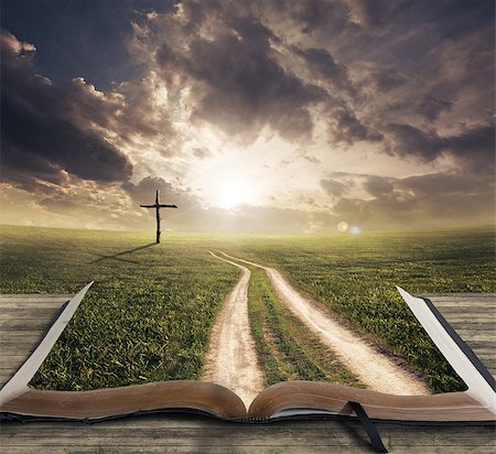 pictures of people reading the bible - Man walking on a Bible towards a cross Stock Photo - Budget Royalty-Free & Subscription, Code: 400-07465376