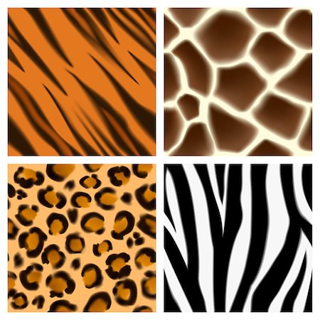 A set of detailed animal print seamless patterns or textures. Giraffe, cheetah or leopard, zebra and tiger skins Stock Photo - Budget Royalty-Free & Subscription, Code: 400-07465462