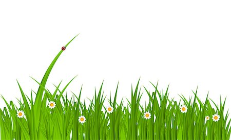 simsearch:400-04322702,k - Summer Abstract Background with Grass. Vector Illustration. Foto de stock - Super Valor sin royalties y Suscripción, Código: 400-07462157