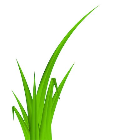 simsearch:400-04322702,k - Summer Abstract Background with Grass. Vector Illustration. Foto de stock - Super Valor sin royalties y Suscripción, Código: 400-07462153