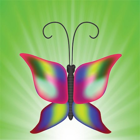 simsearch:400-04587179,k - colorful illustration with butterfly for your design Foto de stock - Super Valor sin royalties y Suscripción, Código: 400-07462386