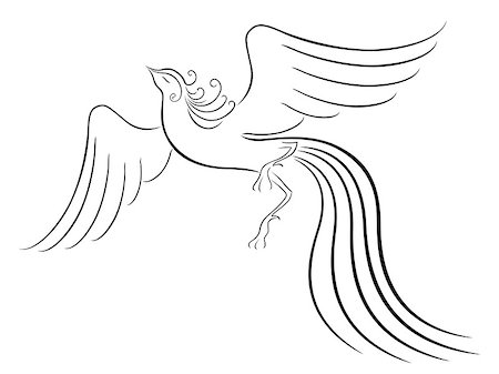 firebird - Black graceful Firebird contour isolated over white. Hand drawing vector illustration Stock Photo - Budget Royalty-Free & Subscription, Code: 400-07462465