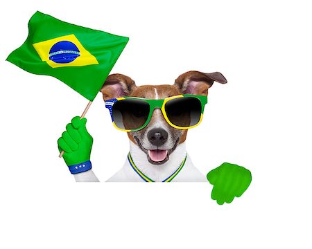 dog fan - fifa world cup  dog waving   brazil flag Stock Photo - Budget Royalty-Free & Subscription, Code: 400-07463019