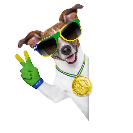 dog fan - fifa world cup  brazil dog  with peace victory fingers Stock Photo - Budget Royalty-Free & Subscription, Code: 400-07463025