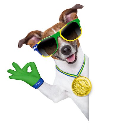 dog fan - fifa world cup  brazil dog  with peace victory fingers Stock Photo - Budget Royalty-Free & Subscription, Code: 400-07463026