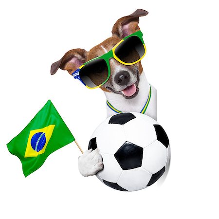 dog fan - fifa world cup  german dog  waving flag behind banner Stock Photo - Budget Royalty-Free & Subscription, Code: 400-07463023