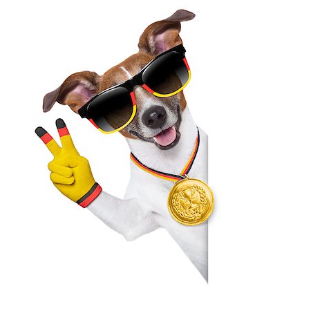 dog fan - fifa world cup  german dog   with  peace fingers  behind banner Stock Photo - Budget Royalty-Free & Subscription, Code: 400-07463035