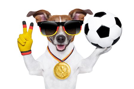 dog fan - fifa world cup  brazil dog holding soccer ball and victory peace fingers Stock Photo - Budget Royalty-Free & Subscription, Code: 400-07463030