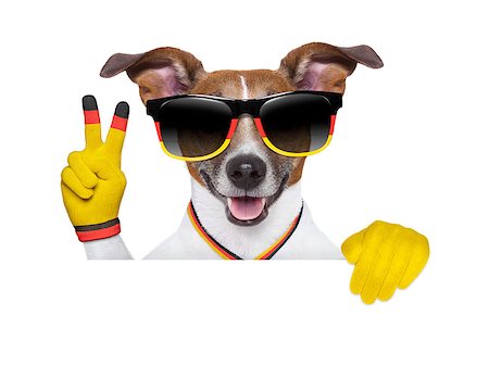 dog fan - fifa world cup  brazil dog  with peace victory fingers Stock Photo - Budget Royalty-Free & Subscription, Code: 400-07463031