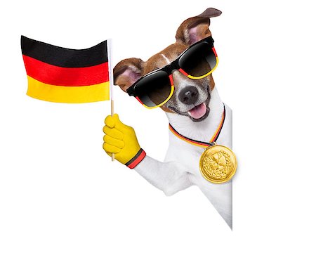 dog fan - fifa world cup  german dog  waving flag behind banner Stock Photo - Budget Royalty-Free & Subscription, Code: 400-07463033