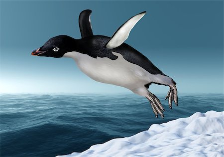 pingüino adelia - Adelie Penguin leaping from the snow towards an icy ocean Foto de stock - Super Valor sin royalties y Suscripción, Código: 400-07477785