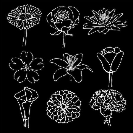 flower illustration sketch design isolated Stock Photo - Budget Royalty-Free & Subscription, Code: 400-07477948