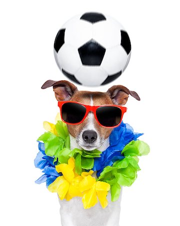 dog fan - funny  soccer dog with spinning ball over the head Stock Photo - Budget Royalty-Free & Subscription, Code: 400-07477960