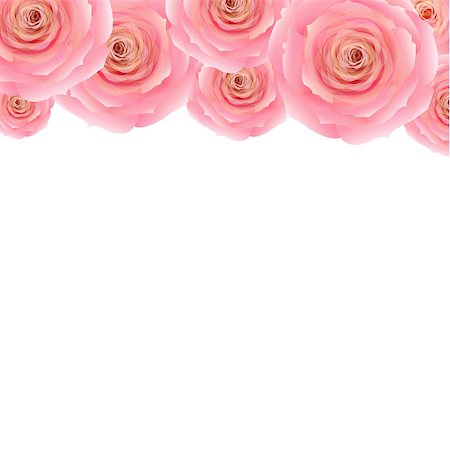 flower border design of rose - Pastel Pink Rose, With Gradient Mesh, Vector Illustration Stock Photo - Budget Royalty-Free & Subscription, Code: 400-07478993