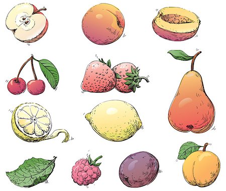 engrave - Vector set of fruits at color engraving style Photographie de stock - Aubaine LD & Abonnement, Code: 400-07479662