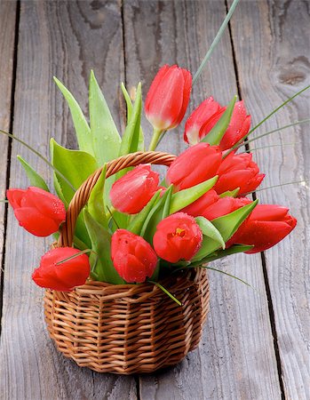 simsearch:400-08011304,k - Wicker Basket with Spring Magenta Tulips and Green Grass isolated on Rustic Wooden background Stock Photo - Budget Royalty-Free & Subscription, Code: 400-07470642