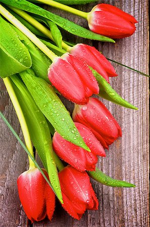 simsearch:400-08011307,k - Bunch of Spring Magenta Tulips with Green Grass and Water Drops closeup on Wooden background Stock Photo - Budget Royalty-Free & Subscription, Code: 400-07470643