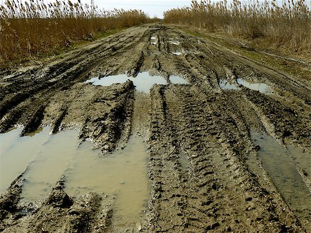 puddle road - dirty rural road with deep tire tracks Stock Photo - Budget Royalty-Free & Subscription, Code: 400-07471323
