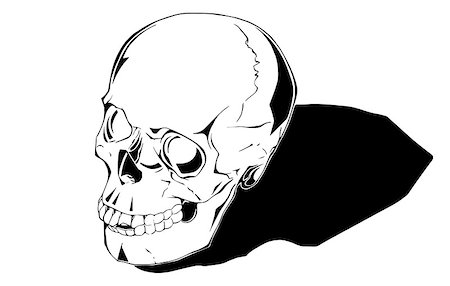 simsearch:400-05687204,k - Comic human skull is hand drawn and live traced. Fills and outlines are separate groups, colors can be changed easily. Shadow can be removed. Photographie de stock - Aubaine LD & Abonnement, Code: 400-07472302
