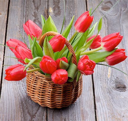 simsearch:400-08011304,k - Bunch of Spring Magenta Tulips with Water Drops and Green Grass in Wicker Basket closeup on Rustic Wooden background Stock Photo - Budget Royalty-Free & Subscription, Code: 400-07473093