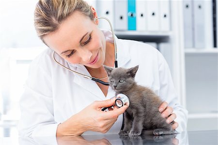 Attractive vet examining kitten with stethoscope in hospital Stock Photo - Budget Royalty-Free & Subscription, Code: 400-07473585