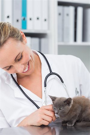 Smiling female vet examining kitten in clinic Stock Photo - Budget Royalty-Free & Subscription, Code: 400-07473587