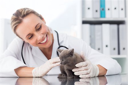 Happy female veterinarian examining kitten in clinic Stock Photo - Budget Royalty-Free & Subscription, Code: 400-07473581