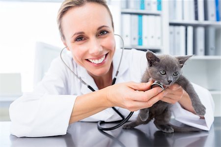 simsearch:400-07473619,k - Portrait of female vet examining kitten with stethoscope in clinic Foto de stock - Royalty-Free Super Valor e Assinatura, Número: 400-07473583