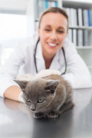 Cute kitten being examined by female vet in clinic Stock Photo - Budget Royalty-Free & Subscription, Code: 400-07473595