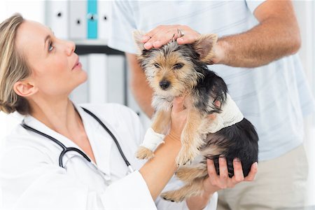 simsearch:400-07473608,k - Male owner with puppy visiting female veterinarian in clinic Foto de stock - Super Valor sin royalties y Suscripción, Código: 400-07473598