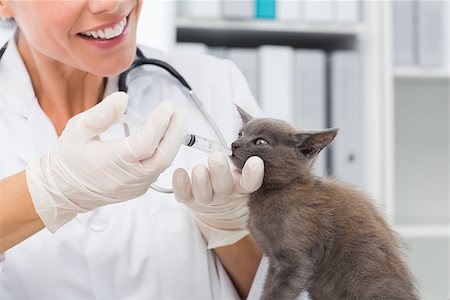 simsearch:400-07473619,k - Female vet giving a cat medicine through mouth in clinic Foto de stock - Royalty-Free Super Valor e Assinatura, Número: 400-07473591