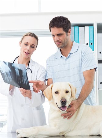 simsearch:400-07473619,k - Female vet and pet owner discussing Xray of dog in clinic Foto de stock - Royalty-Free Super Valor e Assinatura, Número: 400-07473604