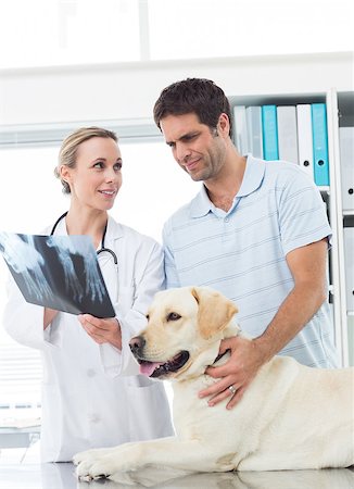 simsearch:400-07473619,k - Female vet showing Xray of dog to pet owner in clinic Foto de stock - Royalty-Free Super Valor e Assinatura, Número: 400-07473605