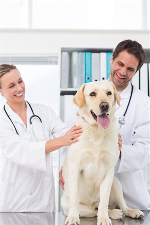 simsearch:400-07473608,k - Happy veterinarians checking dog in clinic Foto de stock - Super Valor sin royalties y Suscripción, Código: 400-07473617
