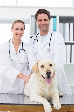 simsearch:400-07473619,k - Portrait of confident vets examining dog in clinic Foto de stock - Royalty-Free Super Valor e Assinatura, Número: 400-07473619