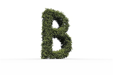 simsearch:400-07484724,k - Capital letter b made of leaves on white background Photographie de stock - Aubaine LD & Abonnement, Code: 400-07484594