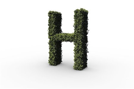 simsearch:400-07484715,k - Capital letter h made of leaves on white background Foto de stock - Super Valor sin royalties y Suscripción, Código: 400-07484703