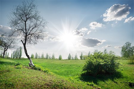 simsearch:400-07932789,k - Sun and clouds in the spring field Stock Photo - Budget Royalty-Free & Subscription, Code: 400-07485906