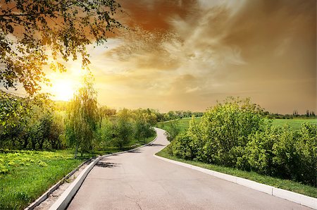 simsearch:400-07189007,k - Asphalted road and birches at the sunset Fotografie stock - Microstock e Abbonamento, Codice: 400-07485901