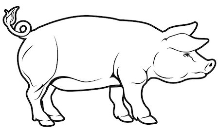 simsearch:400-08255059,k - An illustration of a pig, could be a label for pork Stock Photo - Budget Royalty-Free & Subscription, Code: 400-07486450