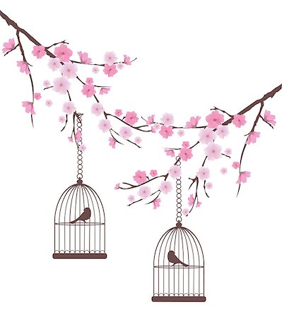 drawing and bird cage - vector bird cages in the cherry tree Stock Photo - Budget Royalty-Free & Subscription, Code: 400-07486473