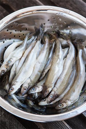 Fresh raw smelt in a metal colander Stock Photo - Budget Royalty-Free & Subscription, Code: 400-07480462