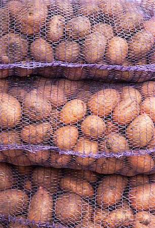 simsearch:400-04351737,k - Sacks of fresh new potatoes from a farm Stock Photo - Budget Royalty-Free & Subscription, Code: 400-07480570