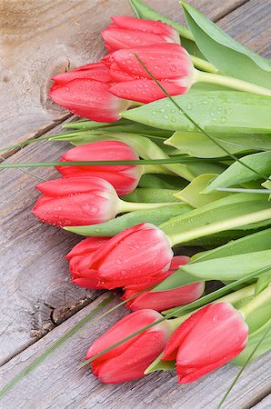 simsearch:400-08011304,k - Bouquet of Beautiful Spring Red Tulips with Green Grass and Water Drops isolated on Rustic Wooden background Stock Photo - Budget Royalty-Free & Subscription, Code: 400-07480687