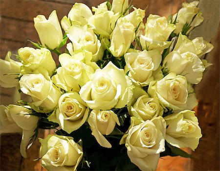 simsearch:400-06877945,k - Large bunch of greenish white roses with sun light Stock Photo - Budget Royalty-Free & Subscription, Code: 400-07480780