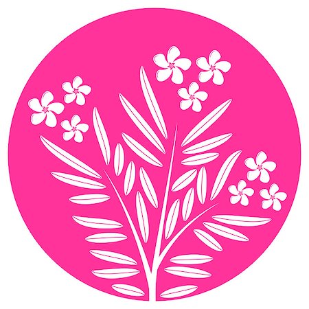 rose bay - vector oleander isolated on pink round, Adobe Illustrator 8 format Foto de stock - Royalty-Free Super Valor e Assinatura, Número: 400-07480935