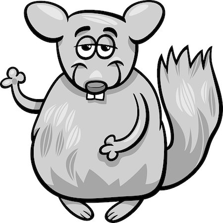 Cartoon Illustration of Funny Chinchilla Animal Character Stock Photo - Budget Royalty-Free & Subscription, Code: 400-07481542